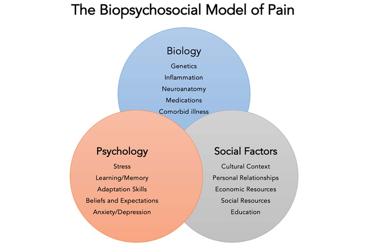 The Biopsychosocial Model of Pain