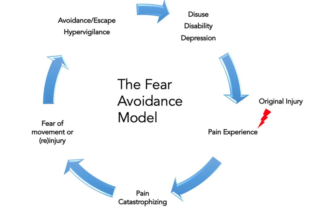 The Fear Avoidance Model, adopted from Vlaeyen